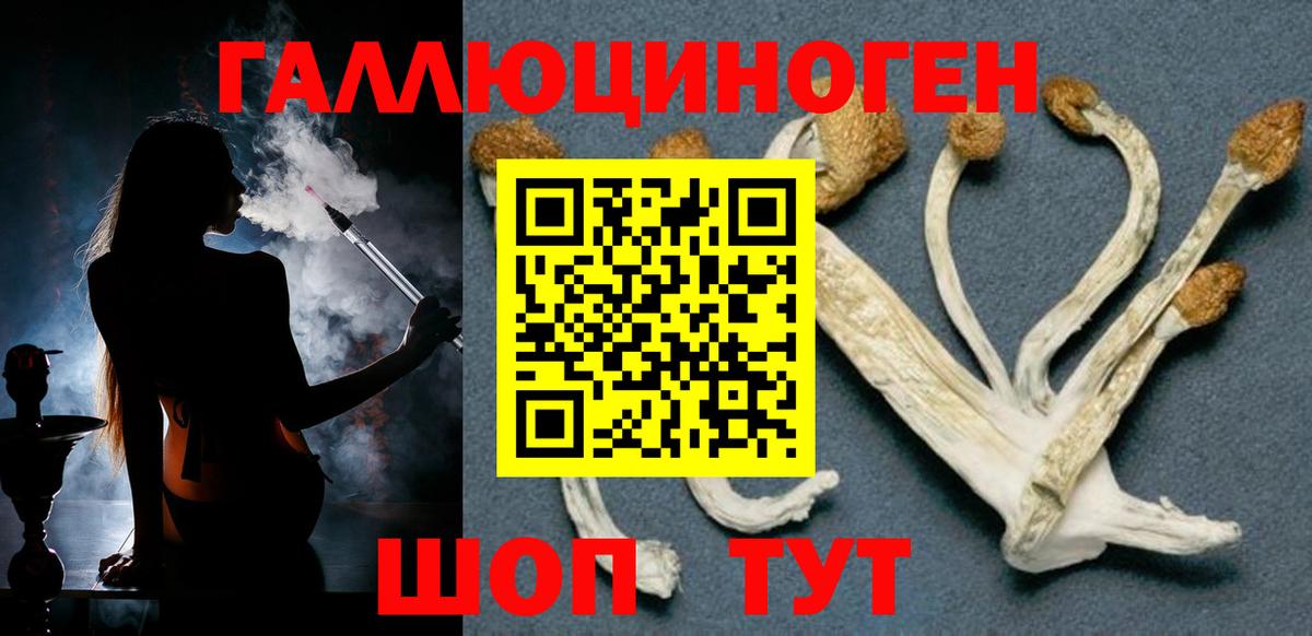 Псков  Галлюциногенные грибы Psilocybe  Вход с VPN  Галлюциногенные грибы MAGIC MUSHROOMS 